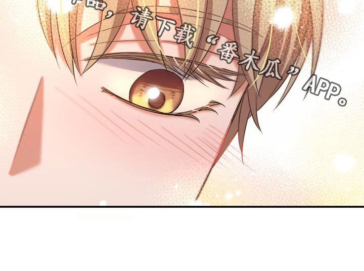 第17章：一见钟情20