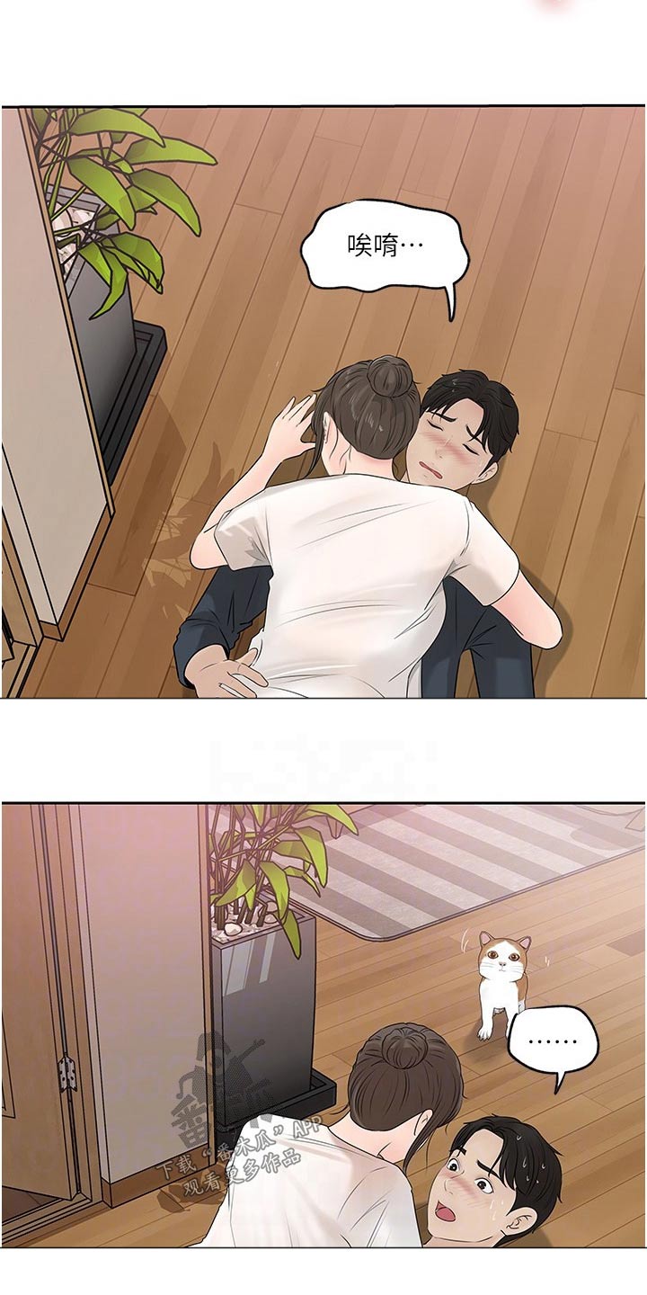 第73章：猫咪6