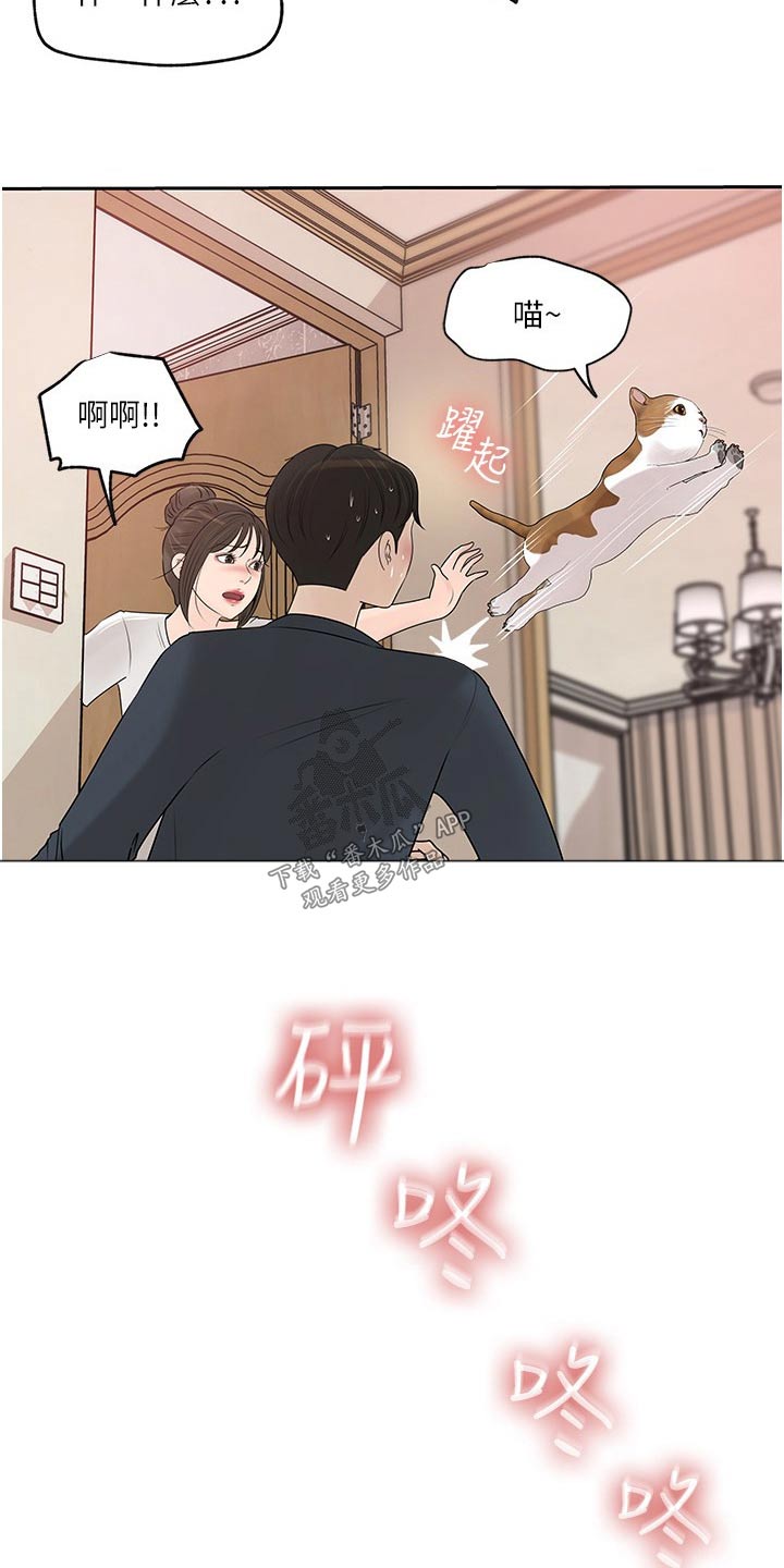 第73章：猫咪5