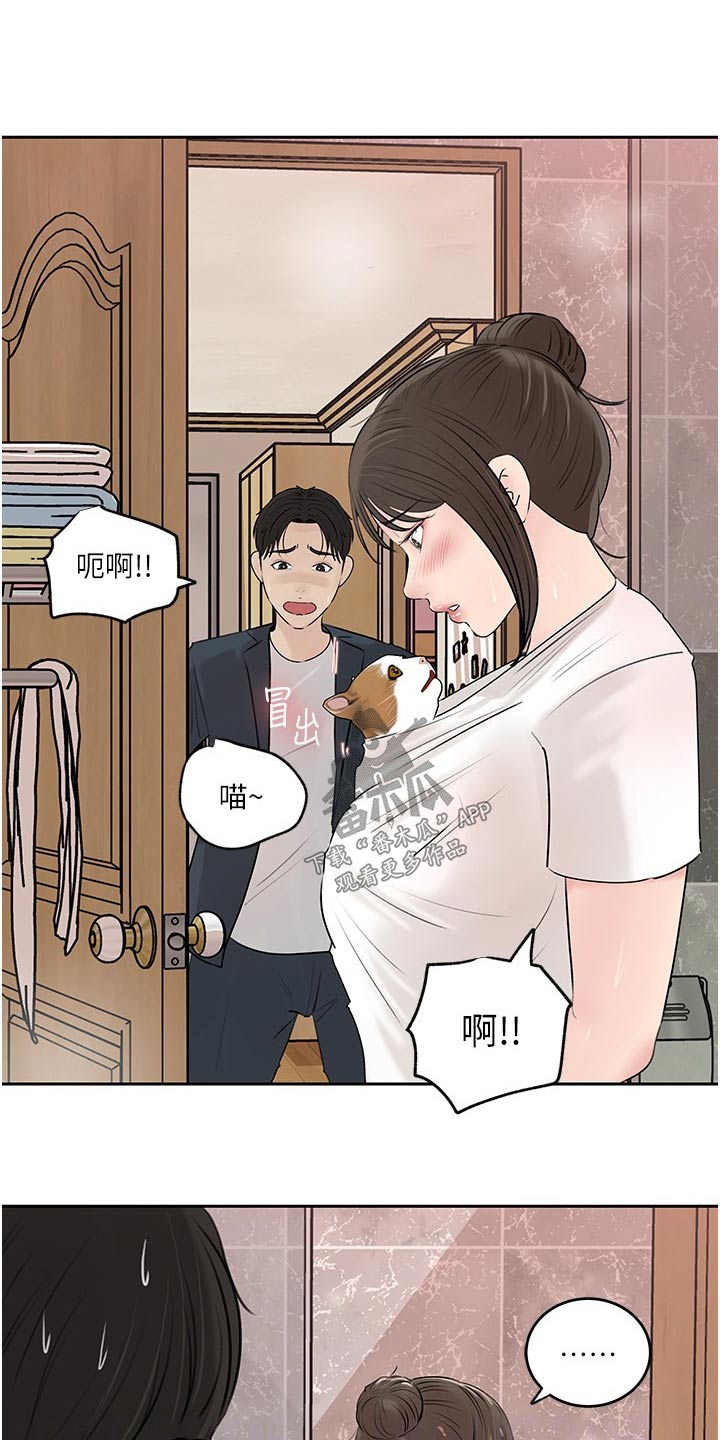 第73章：猫咪3
