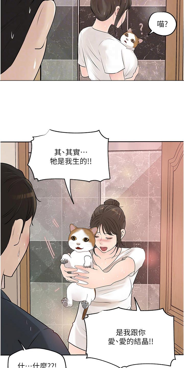 第73章：猫咪4