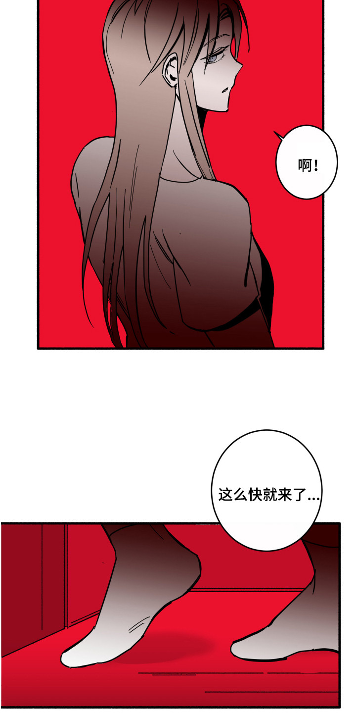 第3章：蜘蛛15
