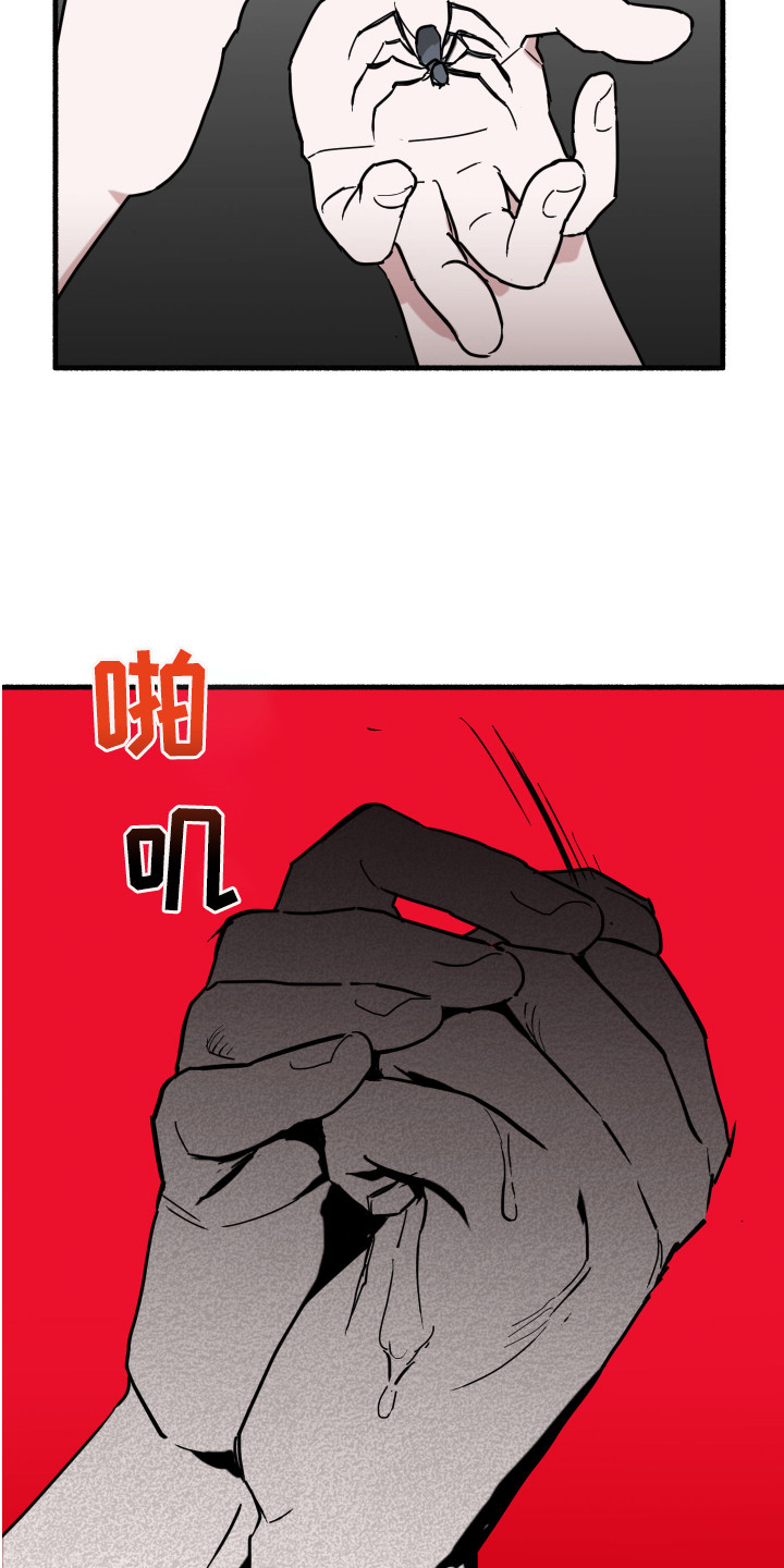 第3章：蜘蛛13