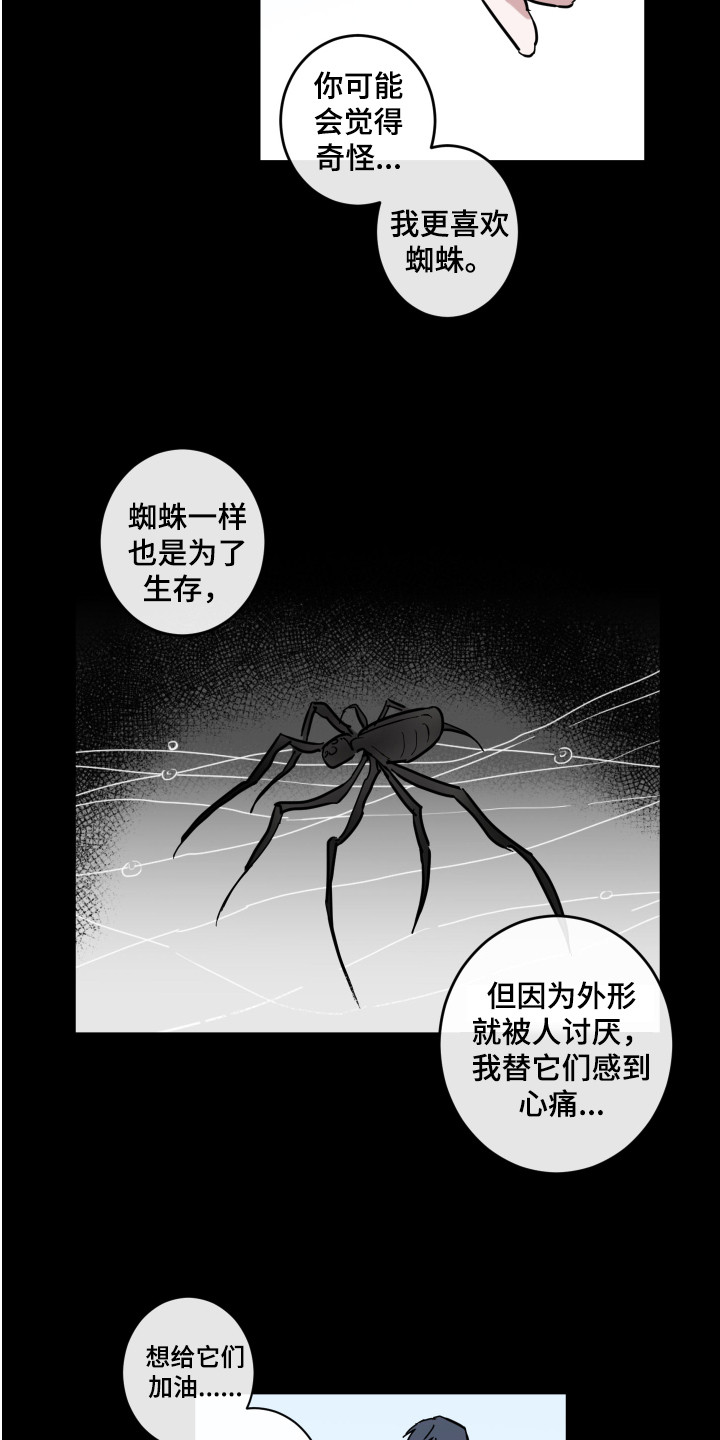 第3章：蜘蛛11