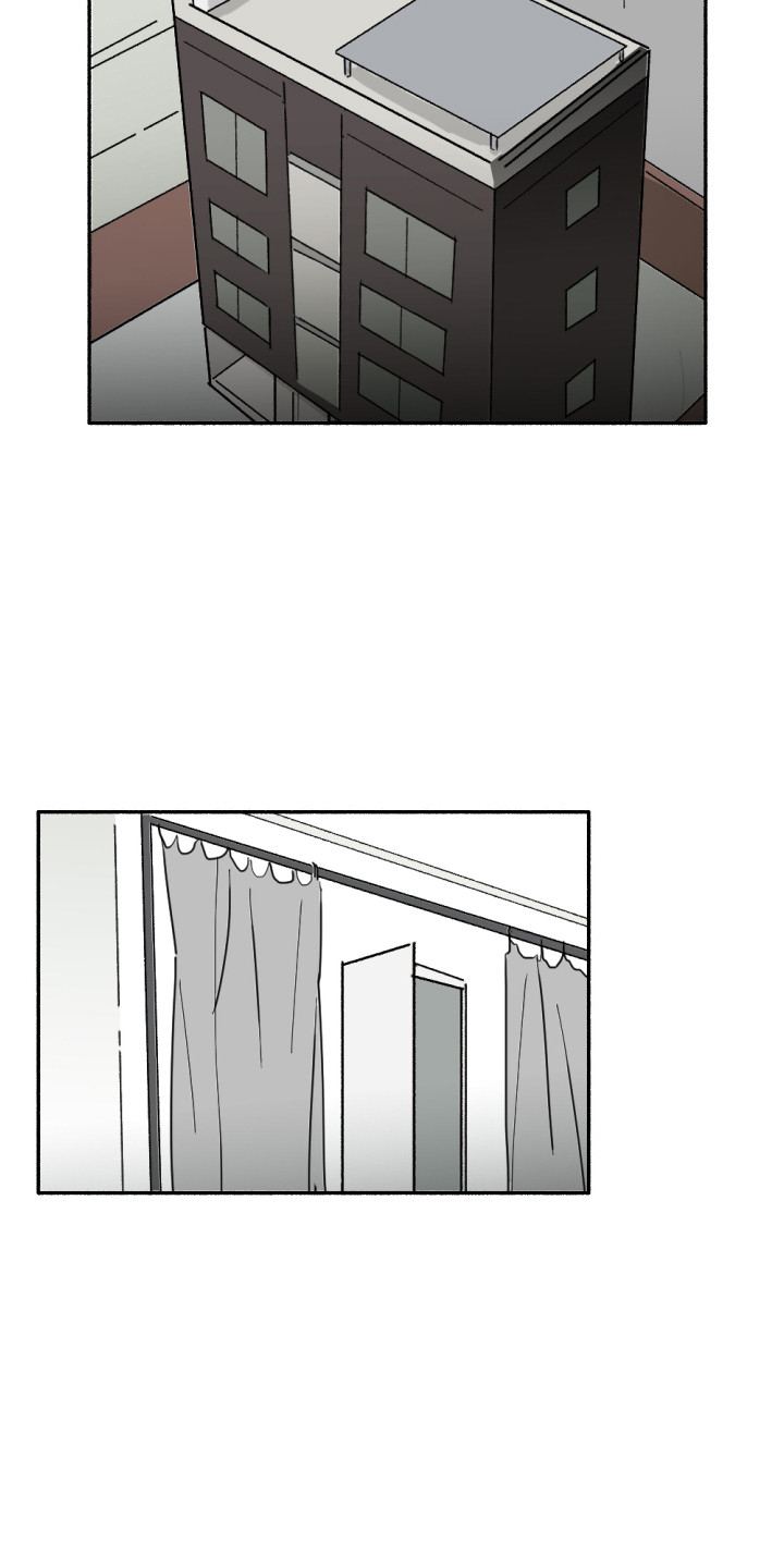 第3章：蜘蛛8