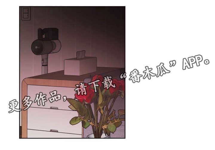 第21章：伙伴6