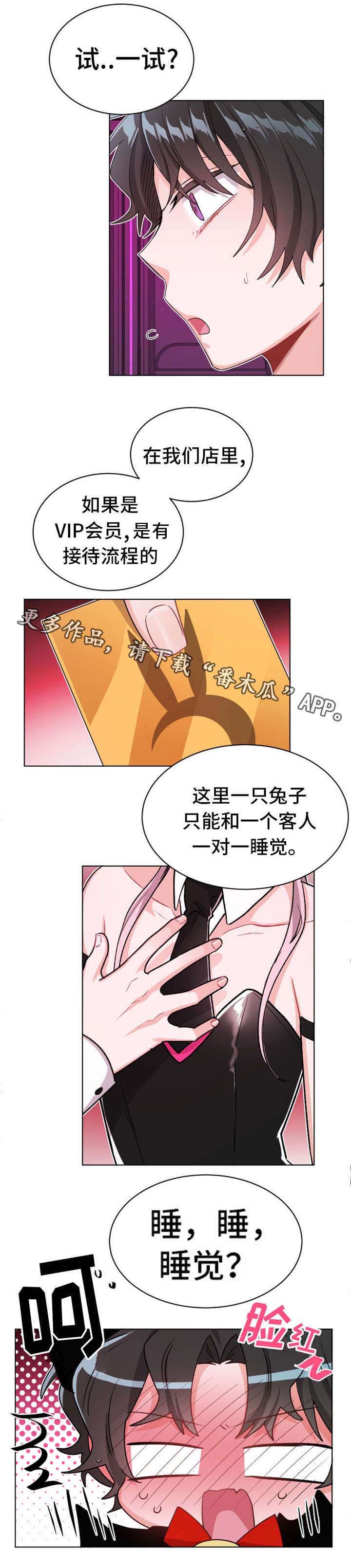 第25章：表演6