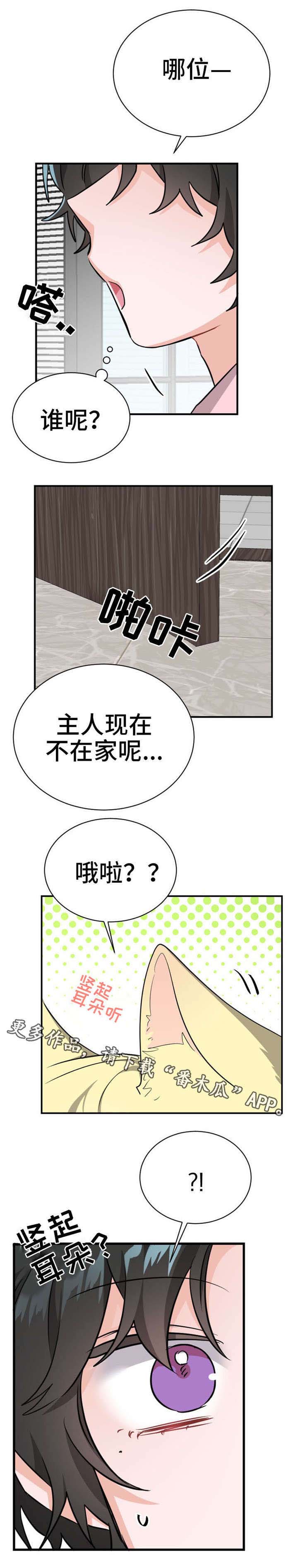 第15章：拜访者5