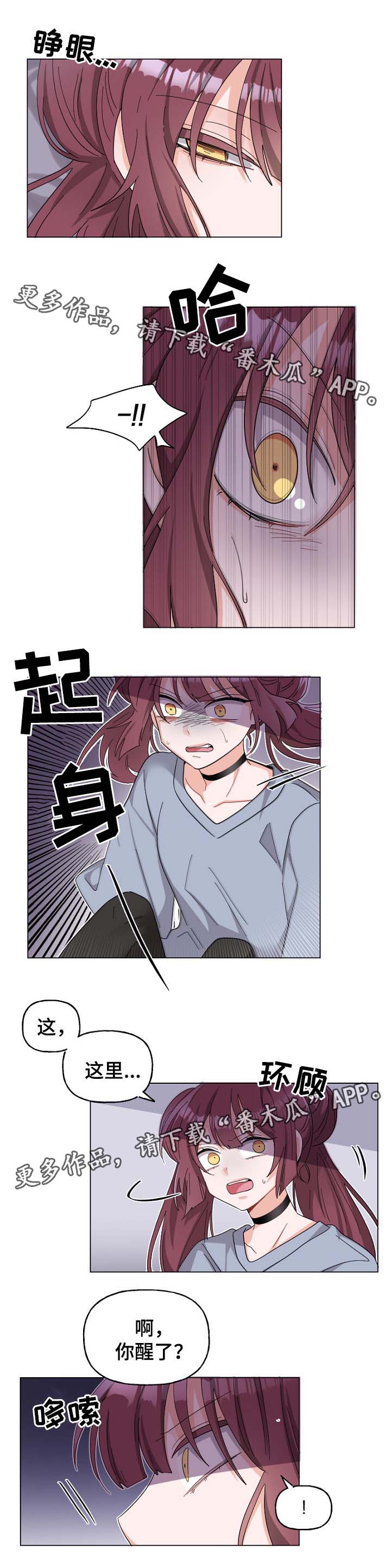 第41章：想摆脱的命运0