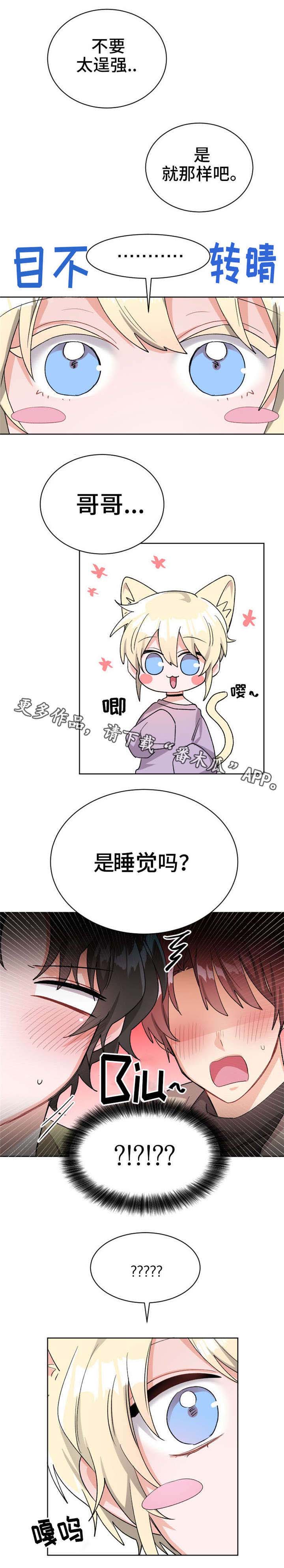 第20章：我的特长8