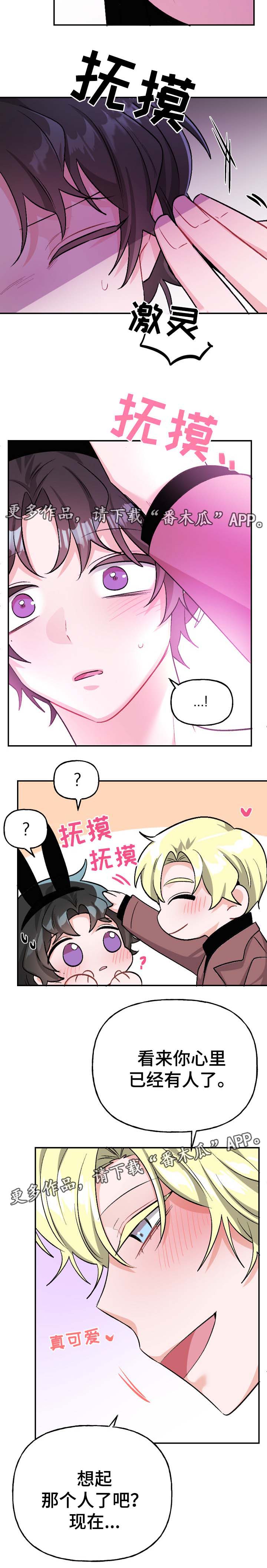 第44章：爱情5