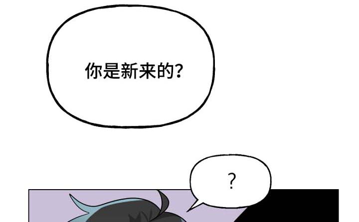 第35章：我喜欢的工作0