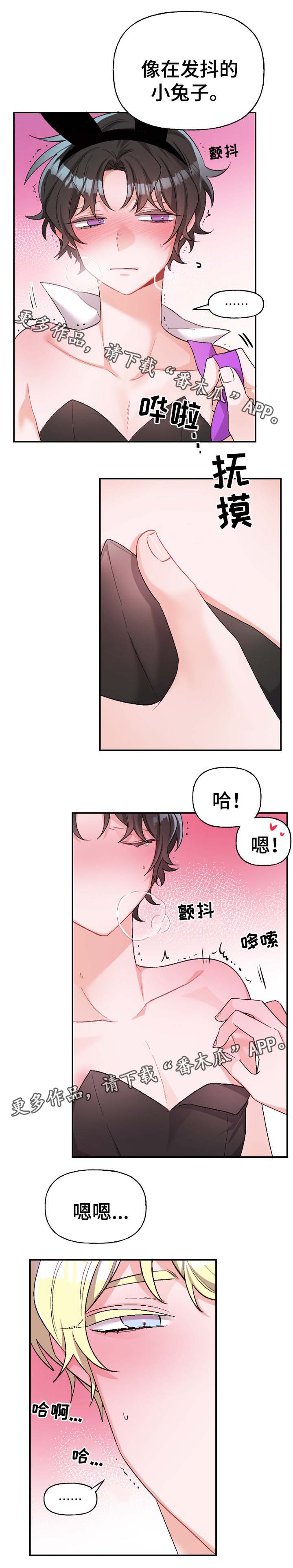 第44章：爱情1