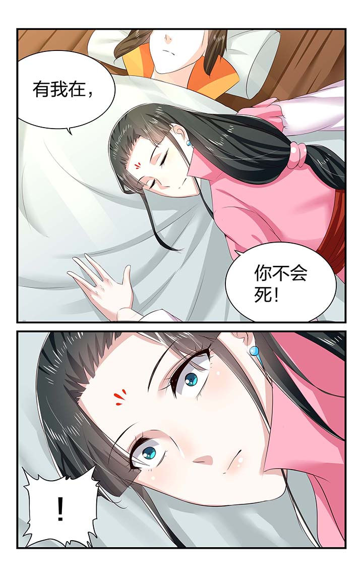 第51章：8
