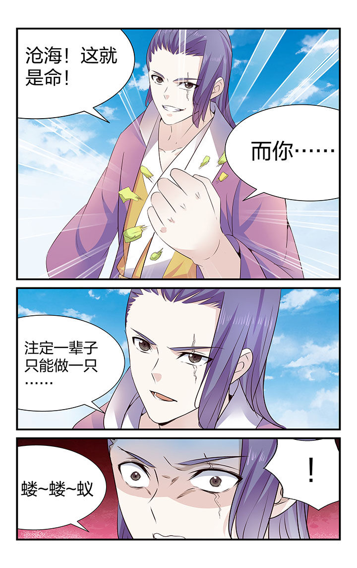 第31章：6