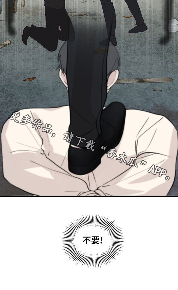 第44章：家产18
