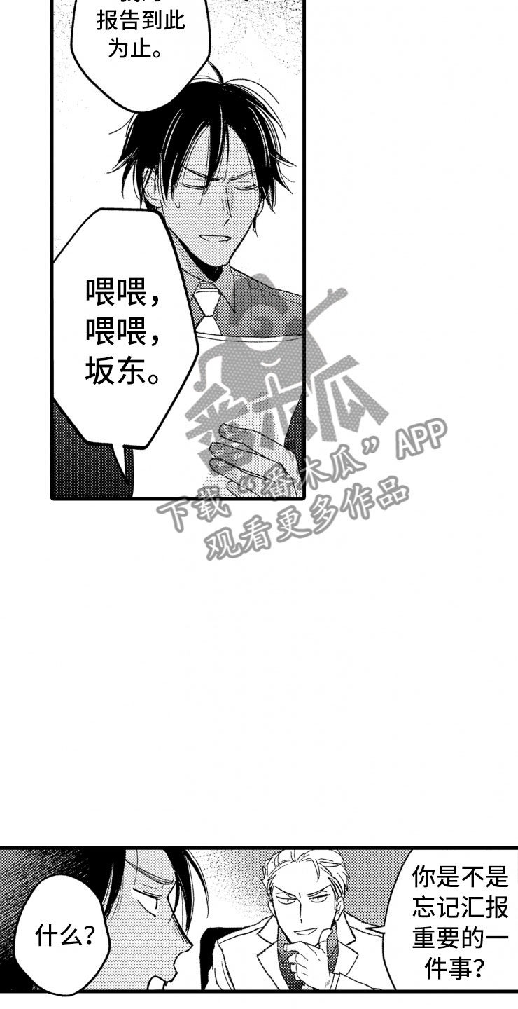 第10章：天衣无缝17