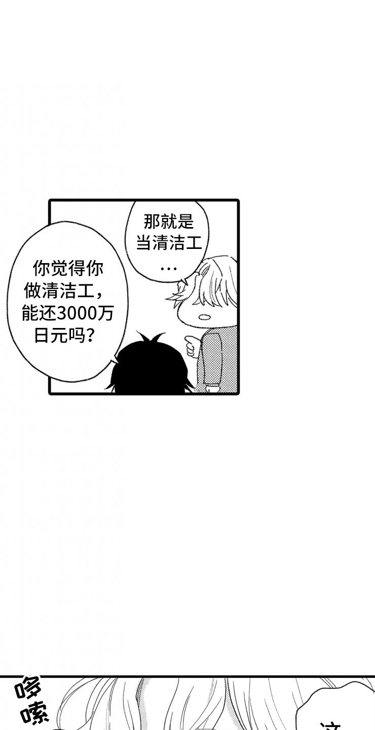 第2章：还债手段22