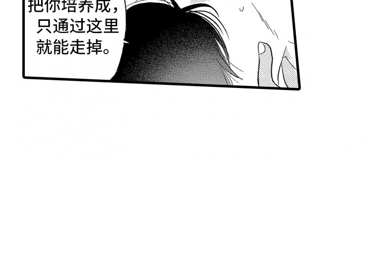 第7章：大号衬衫12