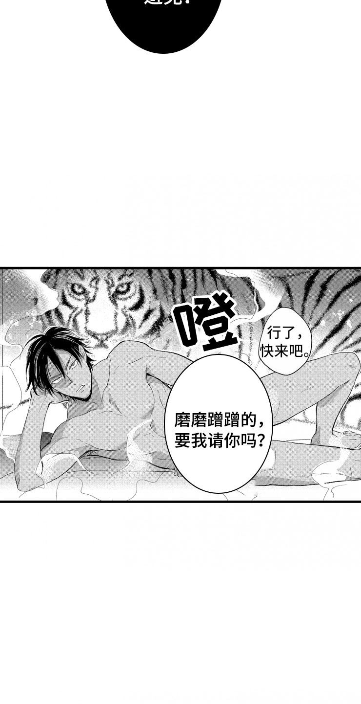 第6章：老虎一样25