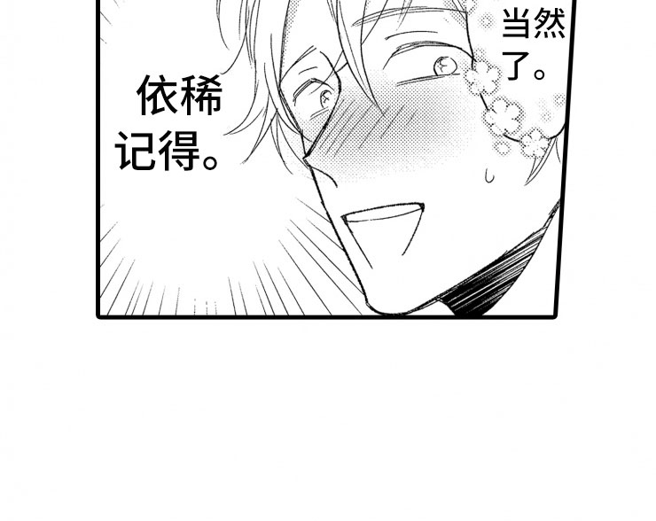 第7章：大号衬衫26