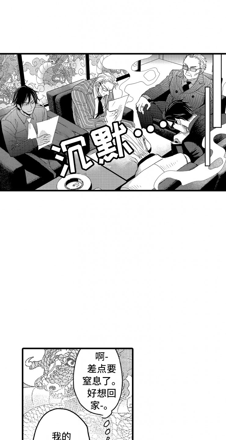 第10章：天衣无缝16