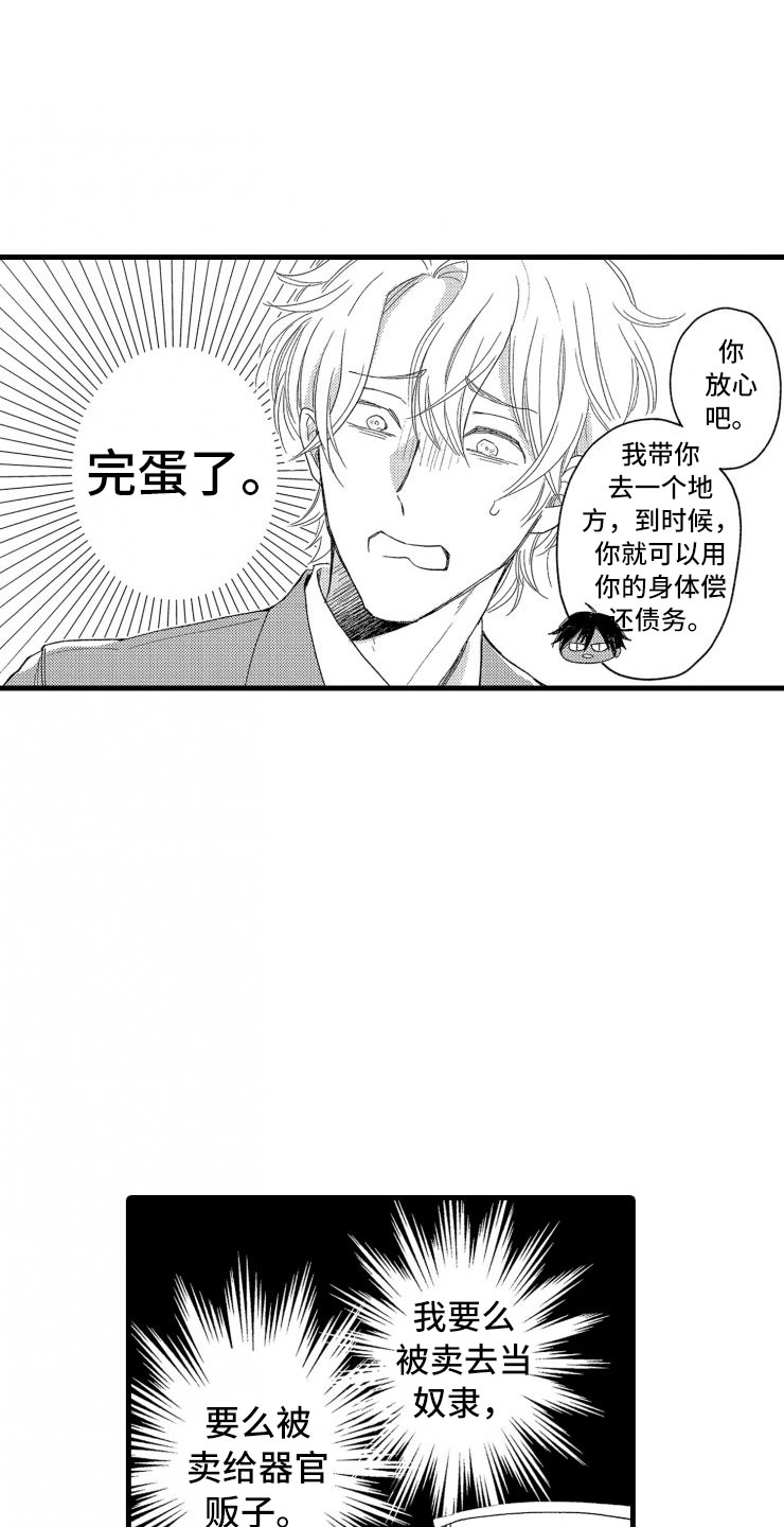 第2章：还债手段16