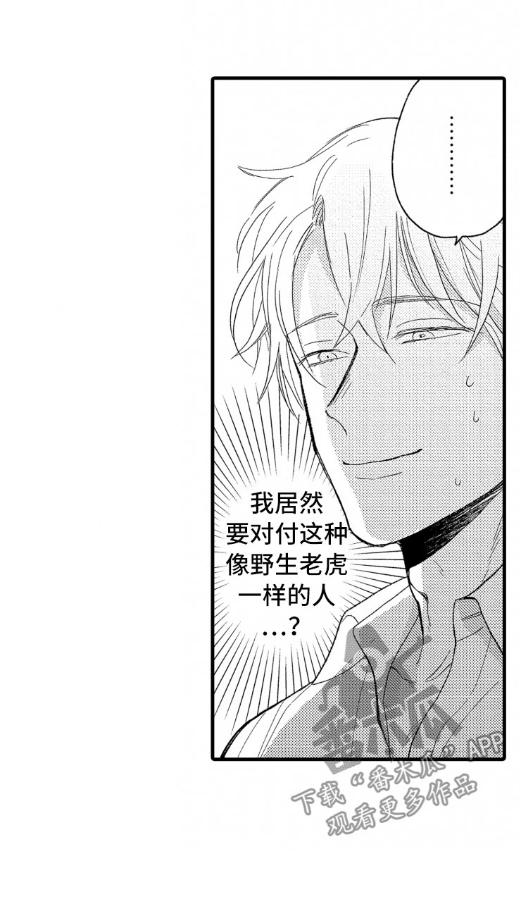 第6章：老虎一样26