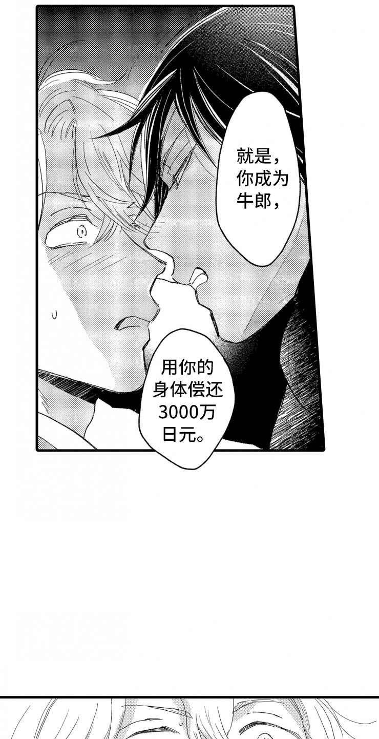 第2章：还债手段26