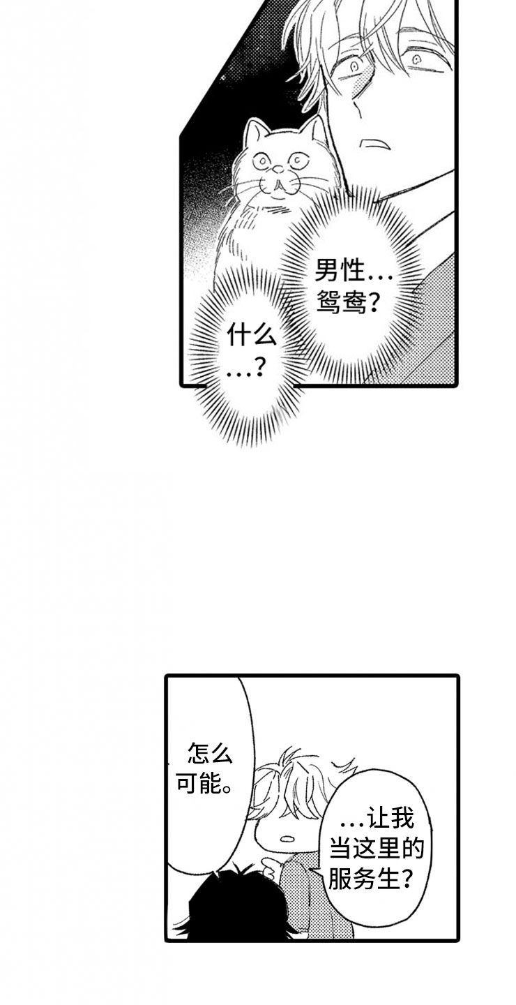 第2章：还债手段21