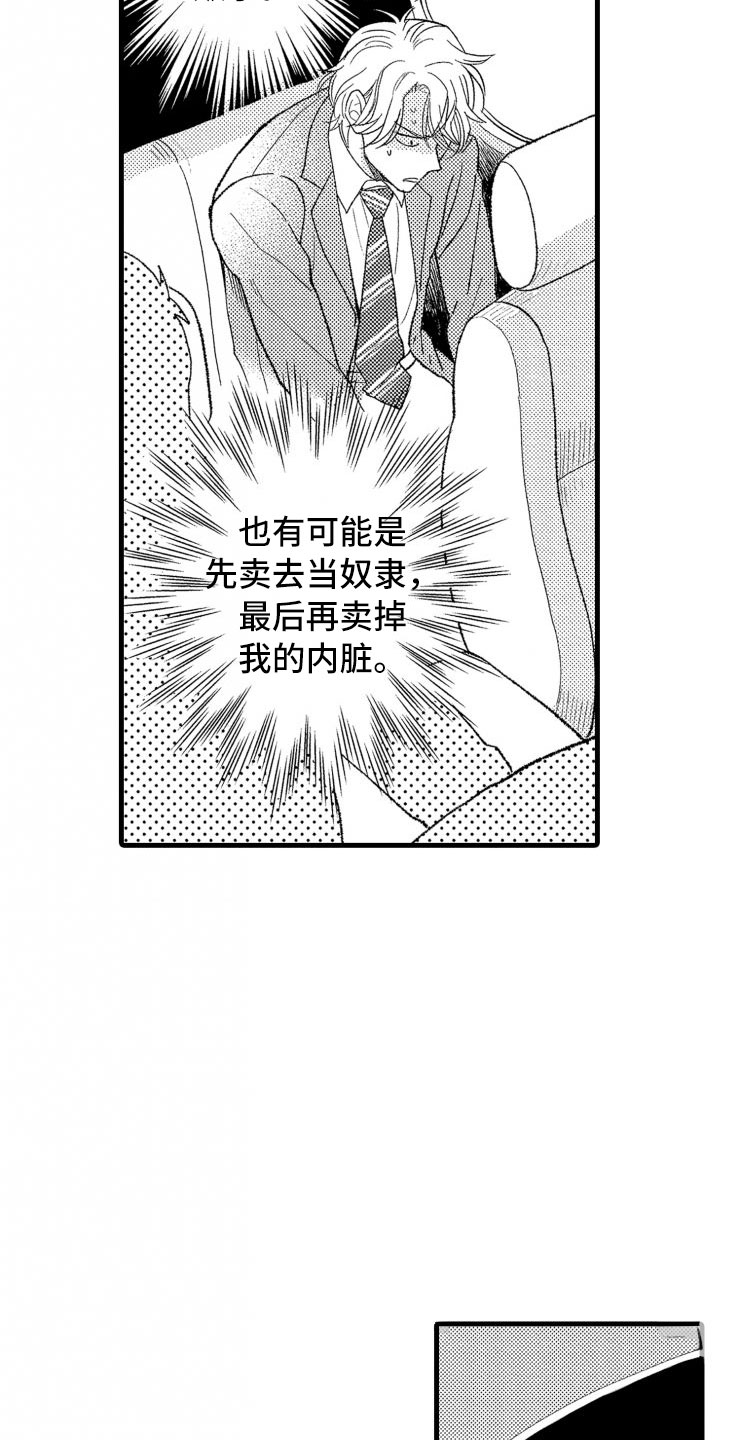 第2章：还债手段17
