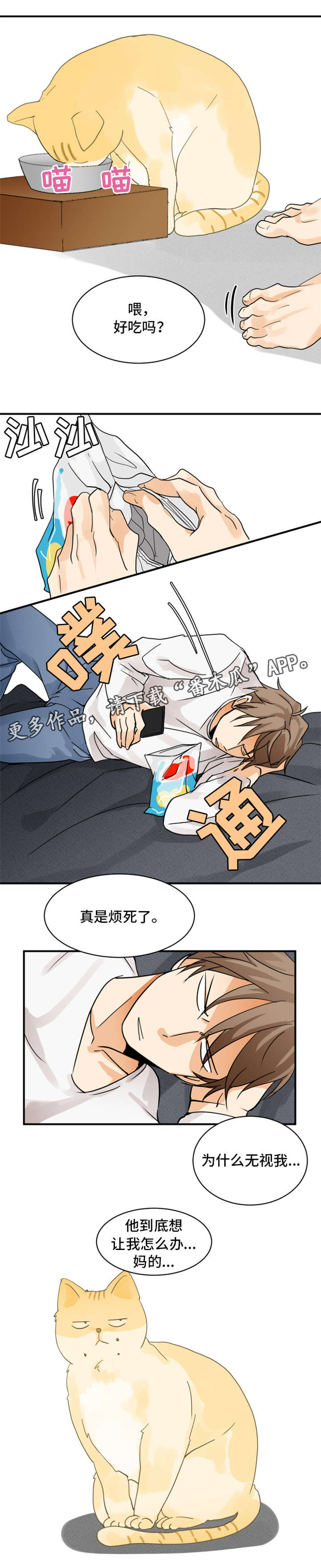 第6章：怎么回事1