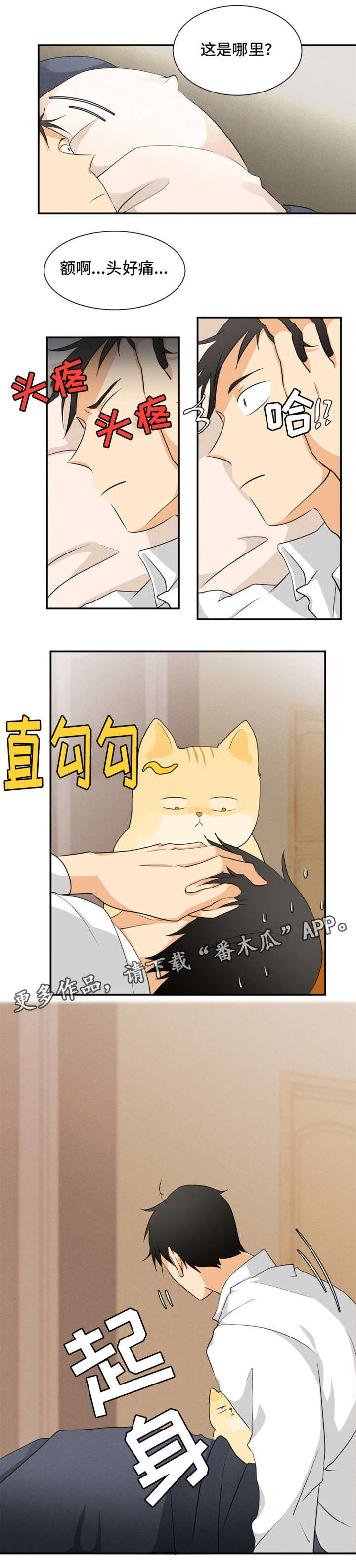 第11章：谢谢你0
