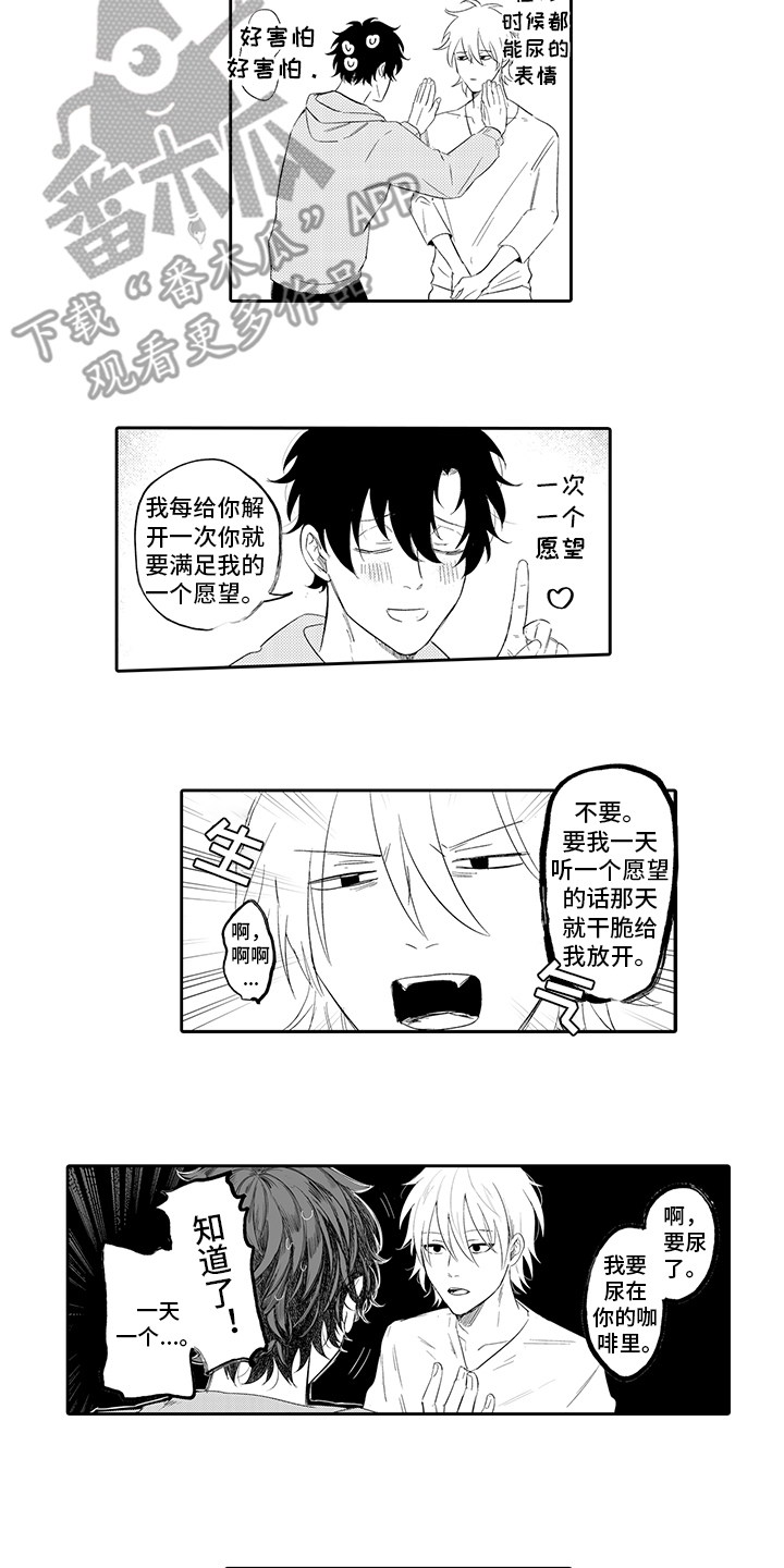 第4章：愿望9