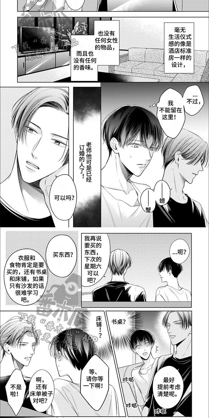 第16章：带回家3