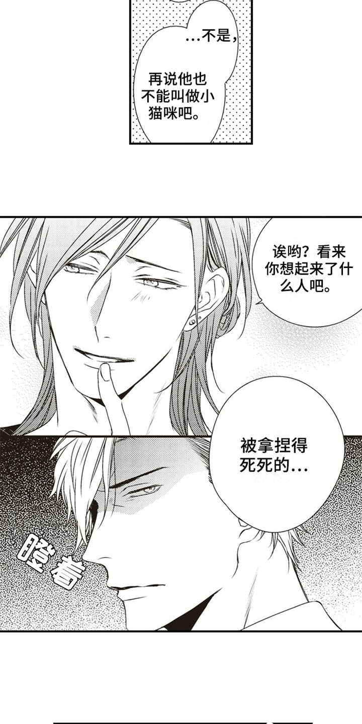 第28章：决定7