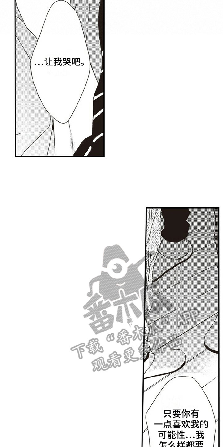 第31章：笨蛋11
