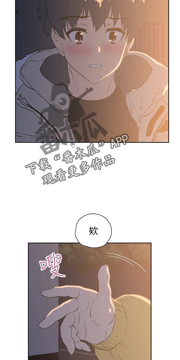 第55章：不做了20