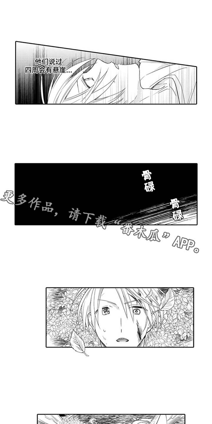 第9章：摔下悬崖6