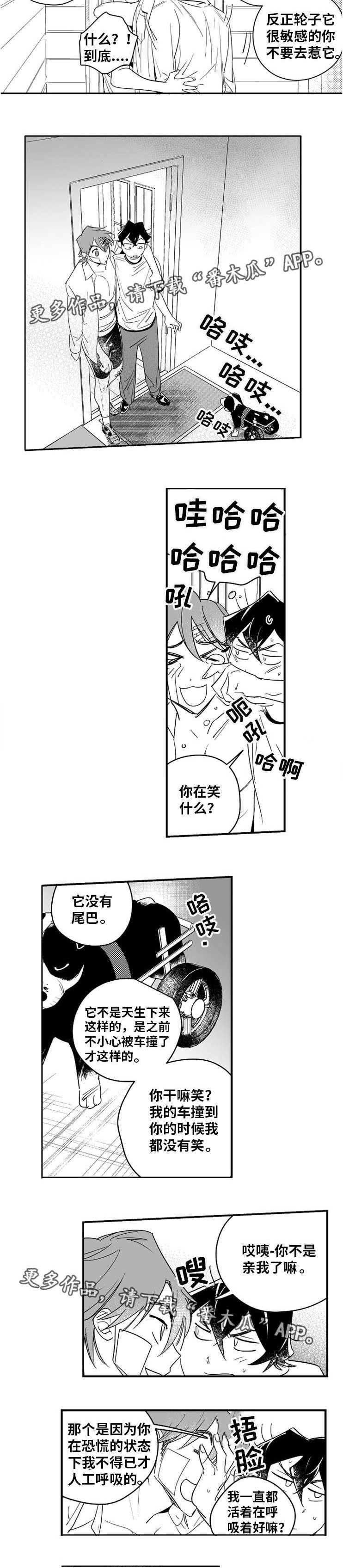 第12章：出谋划策1