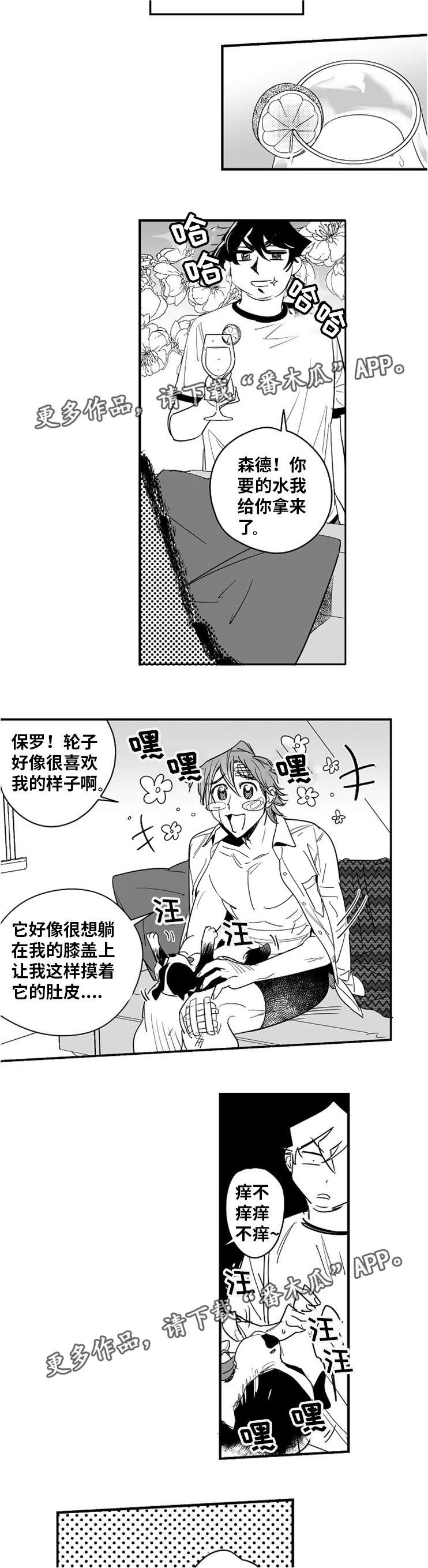 第13章：因为喜欢1