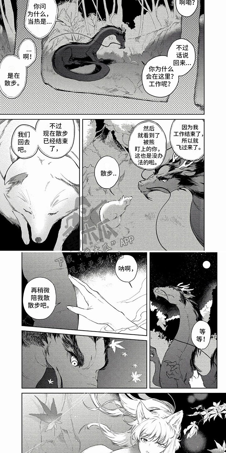 第22章：散散步3