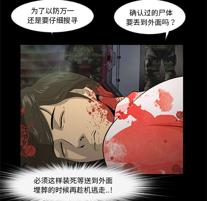 第41章：大开杀戒（大结局）29