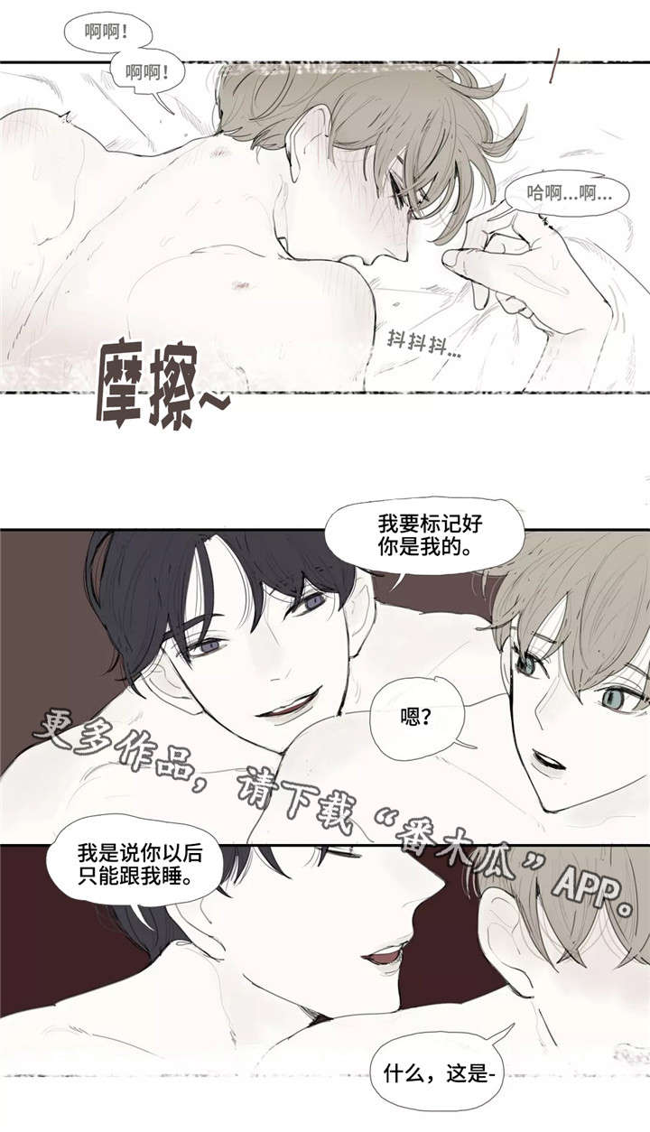 第4章：照片4