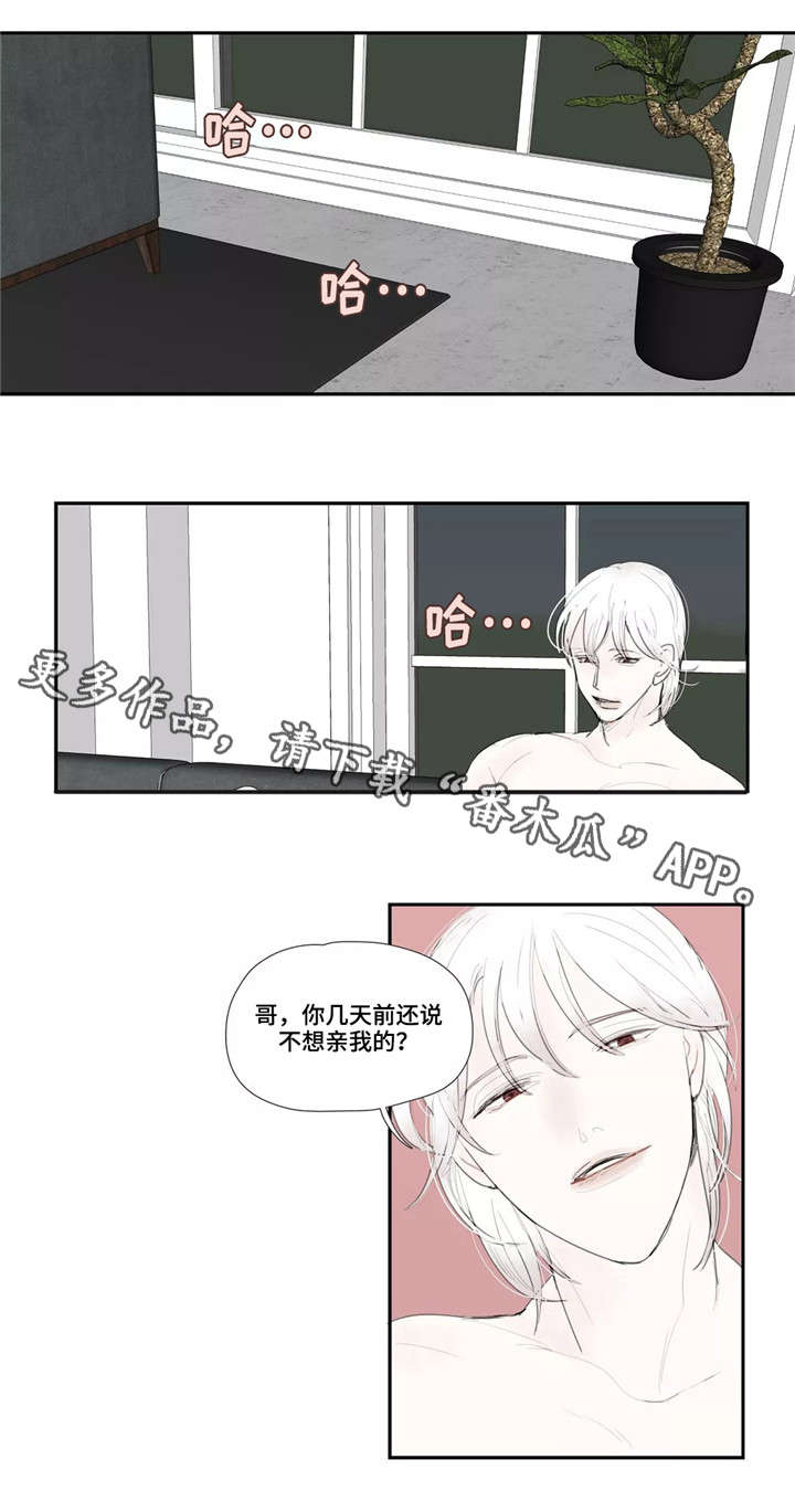 第28章：欺骗2