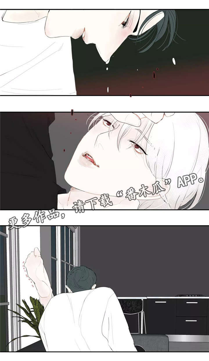 第15章：约见10