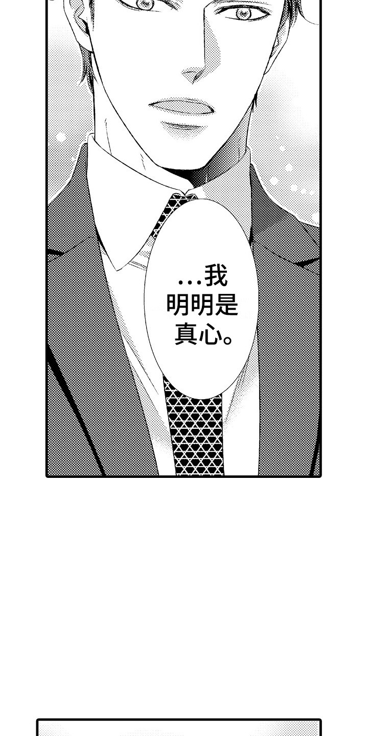 第19章：真心的11