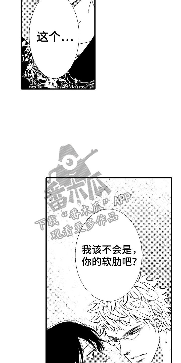 第15章：软肋22