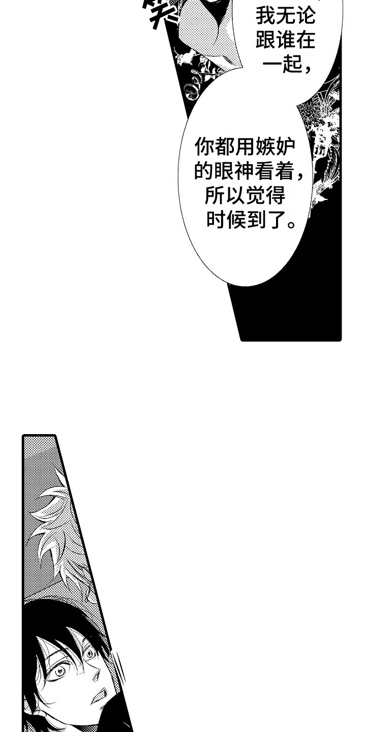 第15章：软肋14