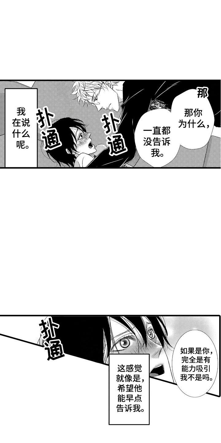 第15章：软肋11